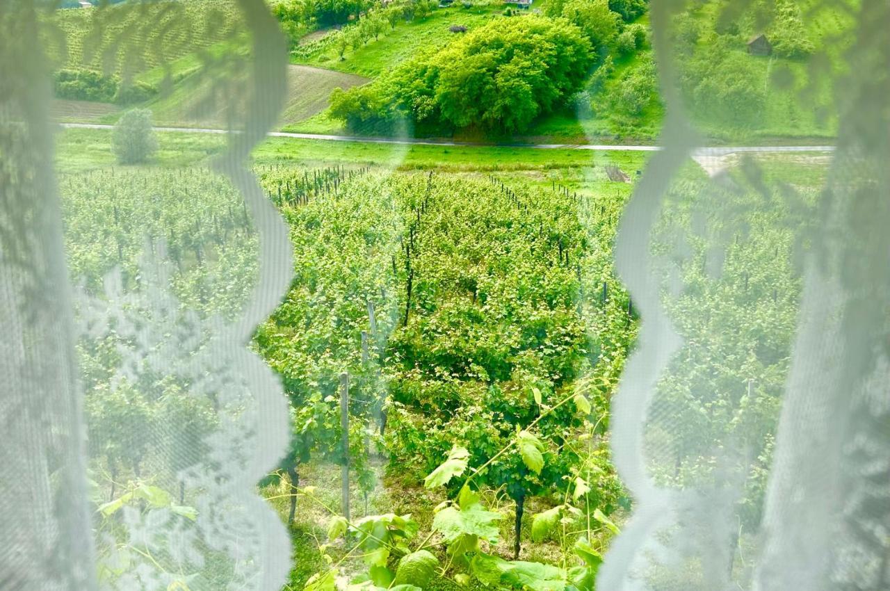 Wine Paradise Sveti Ivan Zelina Luaran gambar