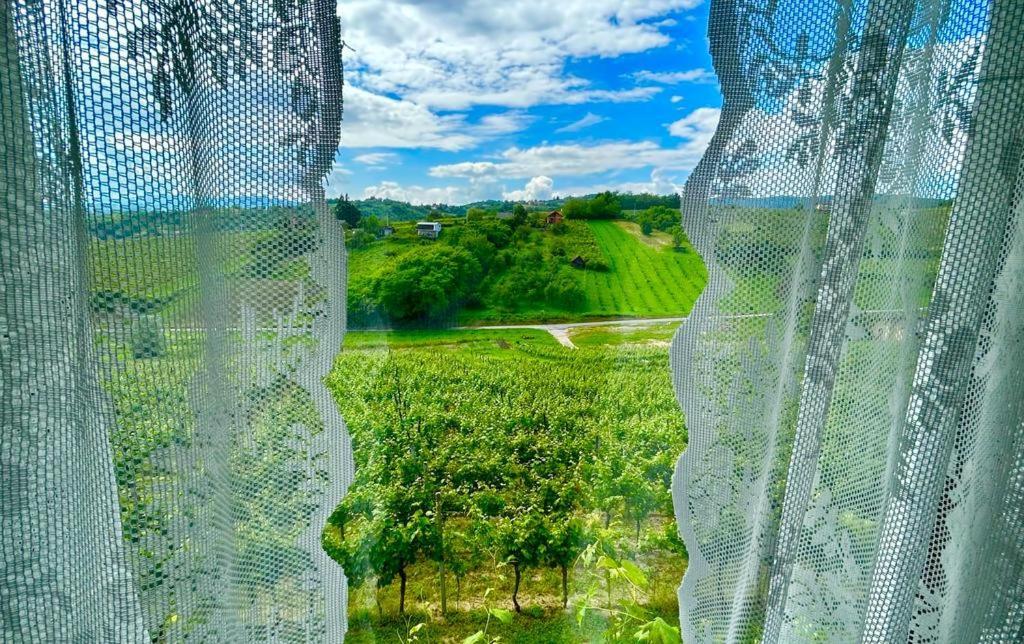 Wine Paradise Sveti Ivan Zelina Luaran gambar