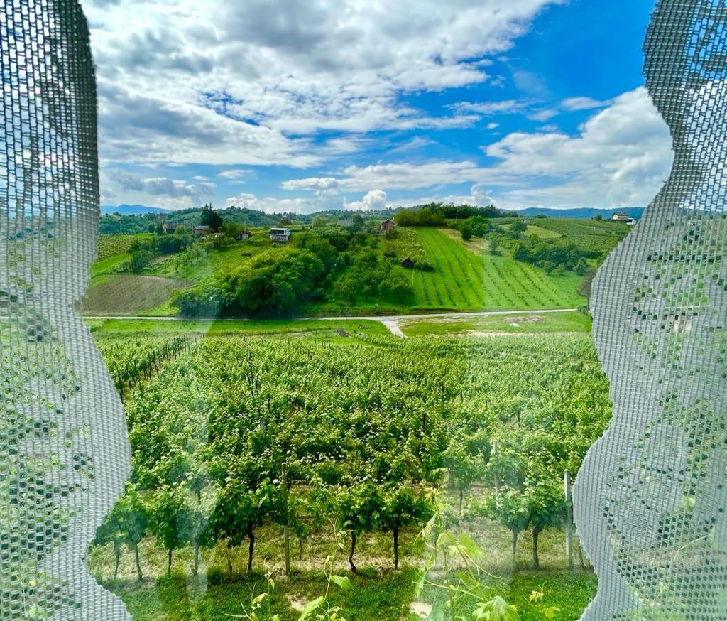 Wine Paradise Sveti Ivan Zelina Luaran gambar