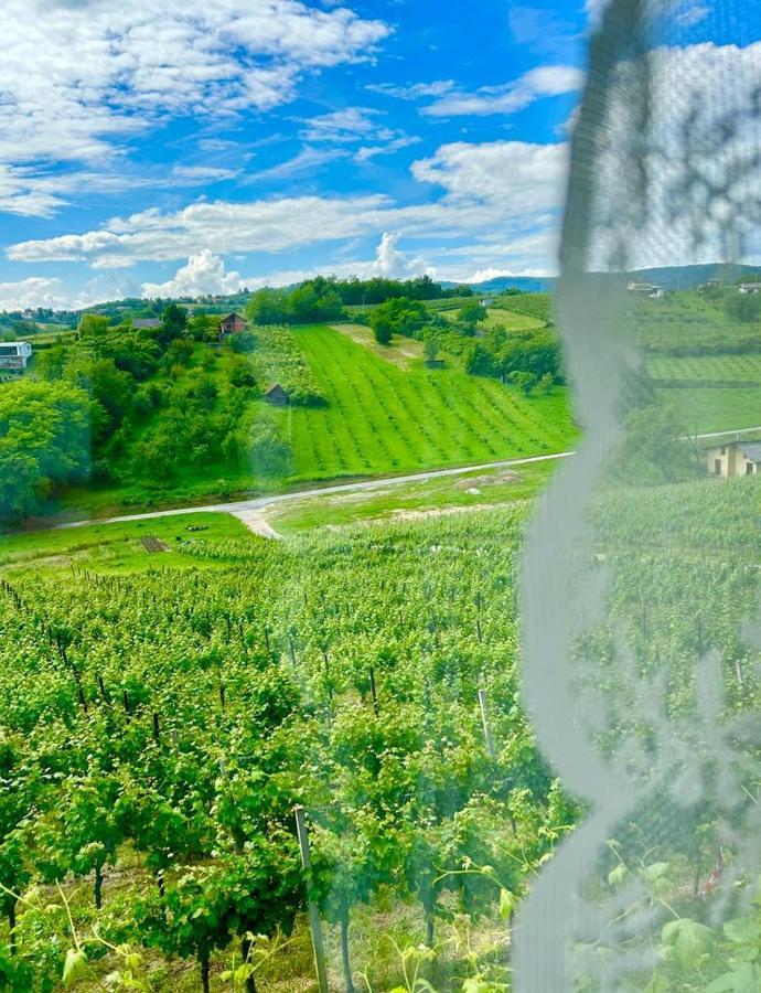 Wine Paradise Sveti Ivan Zelina Luaran gambar