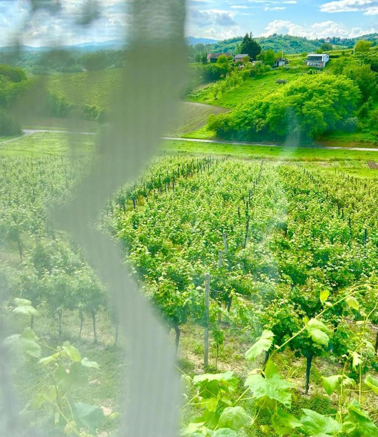 Wine Paradise Sveti Ivan Zelina Luaran gambar