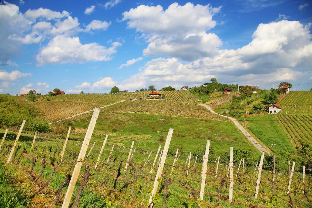 Wine Paradise Sveti Ivan Zelina Luaran gambar