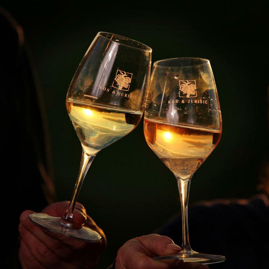 Wine Paradise Sveti Ivan Zelina Luaran gambar