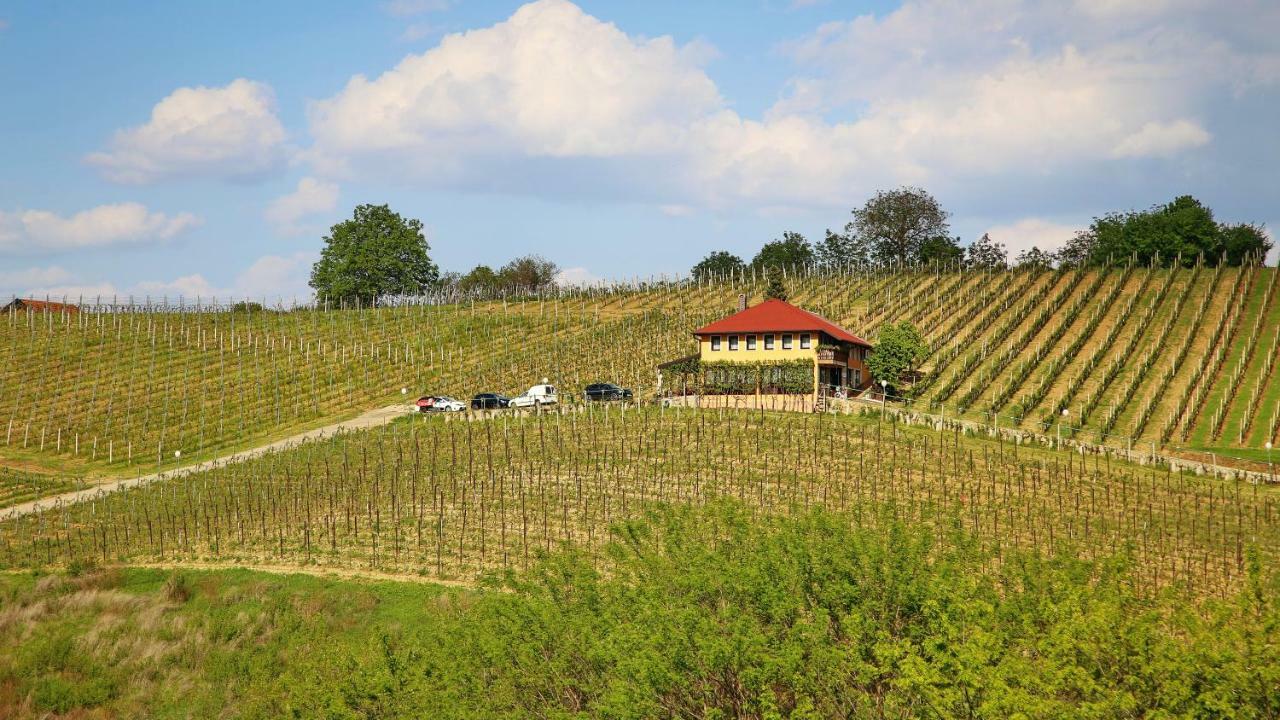 Wine Paradise Sveti Ivan Zelina Luaran gambar